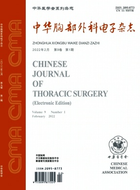 中华胸部外科电子杂志期刊封面
