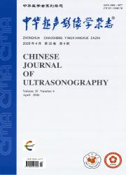中华超声影像学杂志期刊封面
