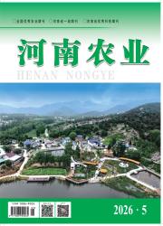 河南农业期刊封面
